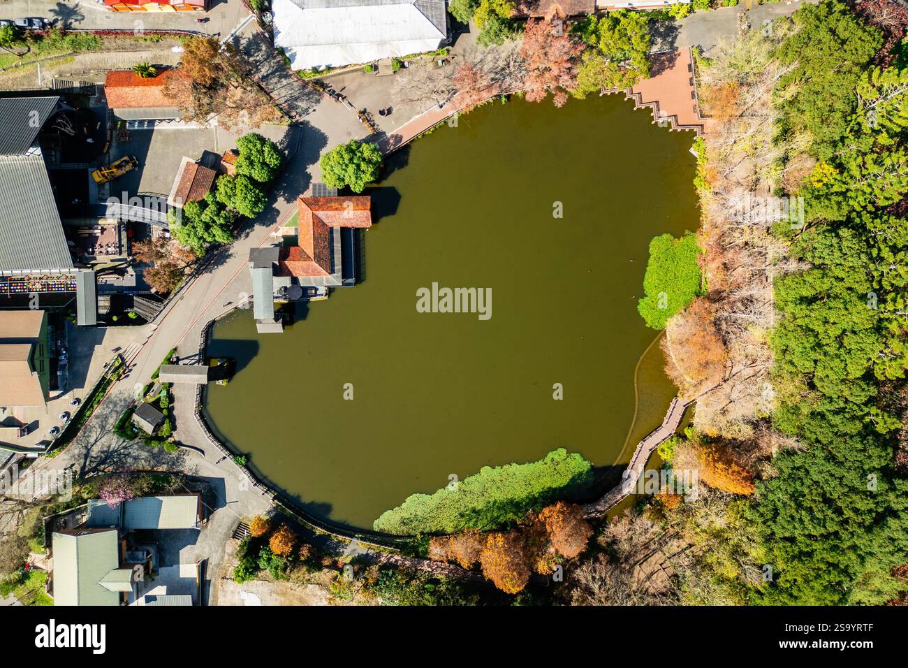 Vista aerea dello stagno in legno di Checheng nella contea di Nantou, Taiwan Foto Stock