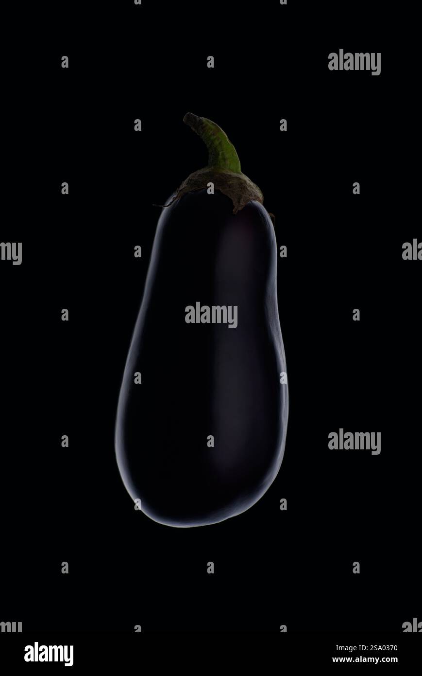 Foto in studio di una melanzana su uno sfondo nero minimale Foto Stock