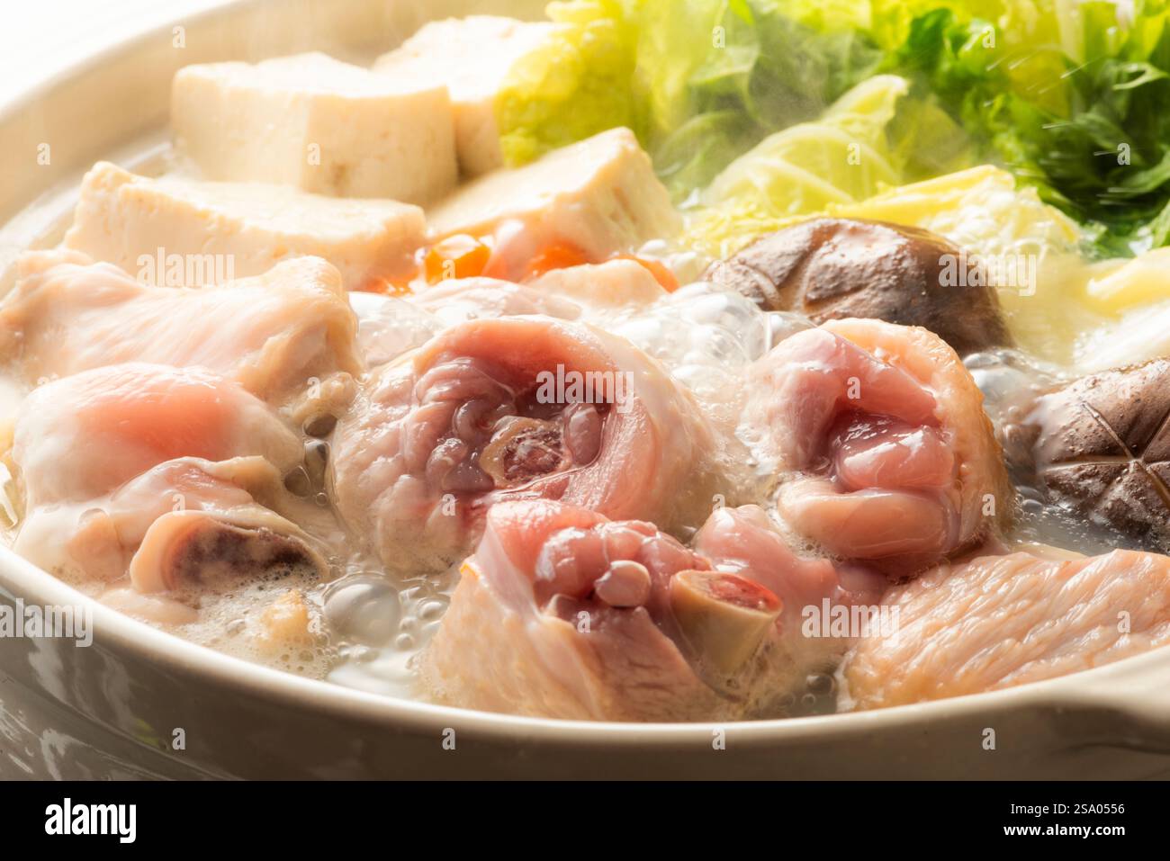 Immagine di Mizutaki ( pentola calda giapponese ) Foto Stock