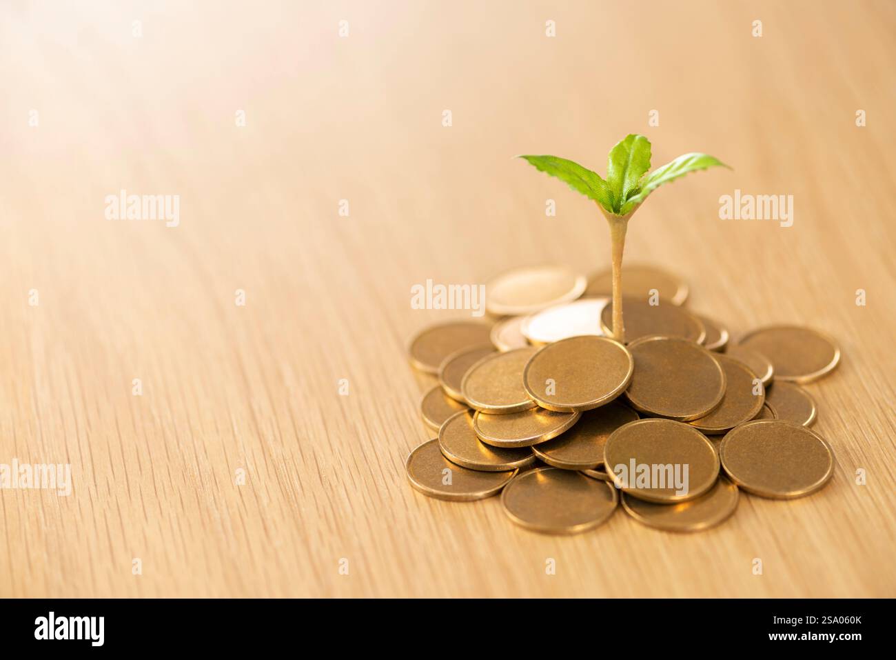 I soldi germogliano Foto Stock