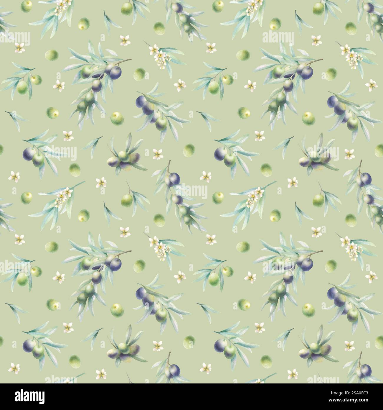 Rami di ulivo con foglie e fiori in uno stile realistico, motivo senza cuciture. Illustrazione ad acquerello verde botanico disegnato a mano con frutta verde e nera su sfondo di oliva per carta da imballaggio. Foto Stock