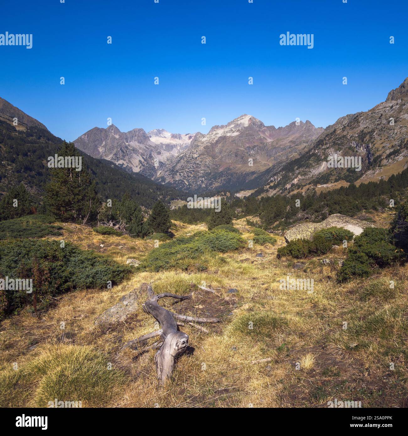 Vaste montagne e valli lussureggianti creano un'atmosfera serena nei Pirenei spagnoli. Foto Stock