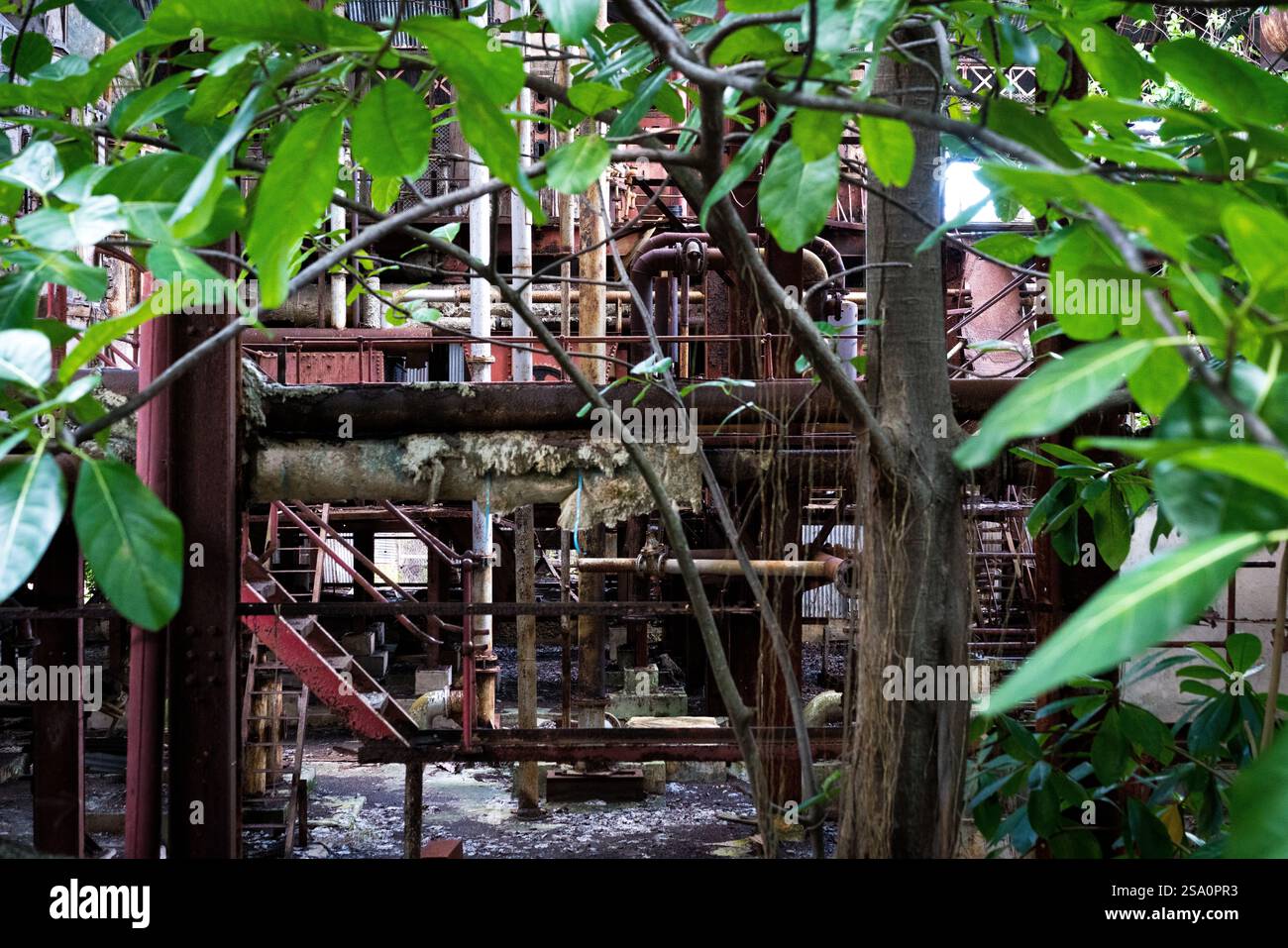 I macchinari del parco dello zucchero di Antigua, ora abbandonati con piante che crescono attraverso vecchi macchinari arrugginiti Foto Stock