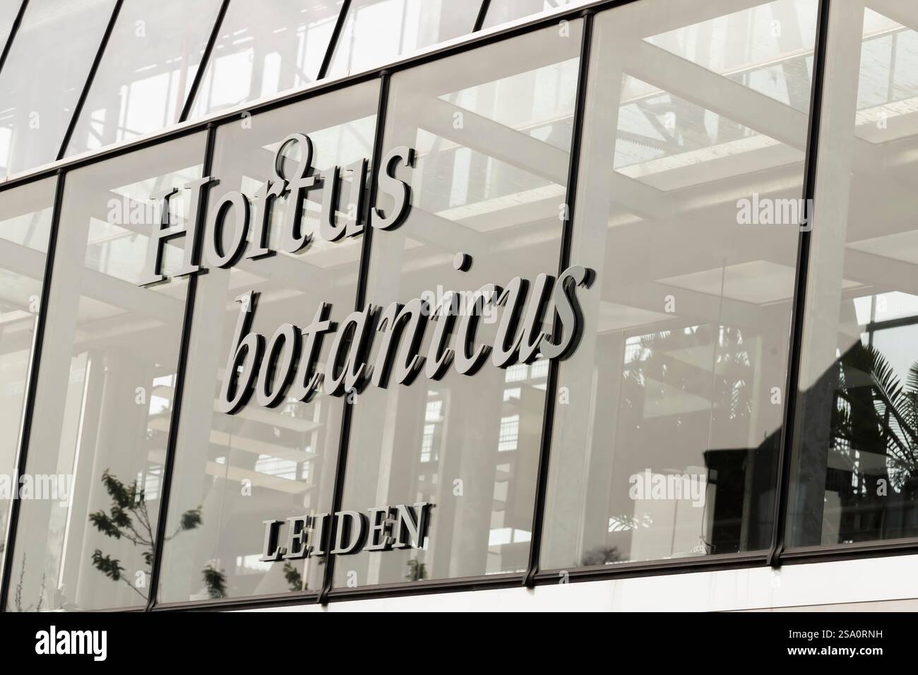 Hortus Botanicus, nella città universitaria olandese di Leida nei Paesi Bassi. Foto Stock
