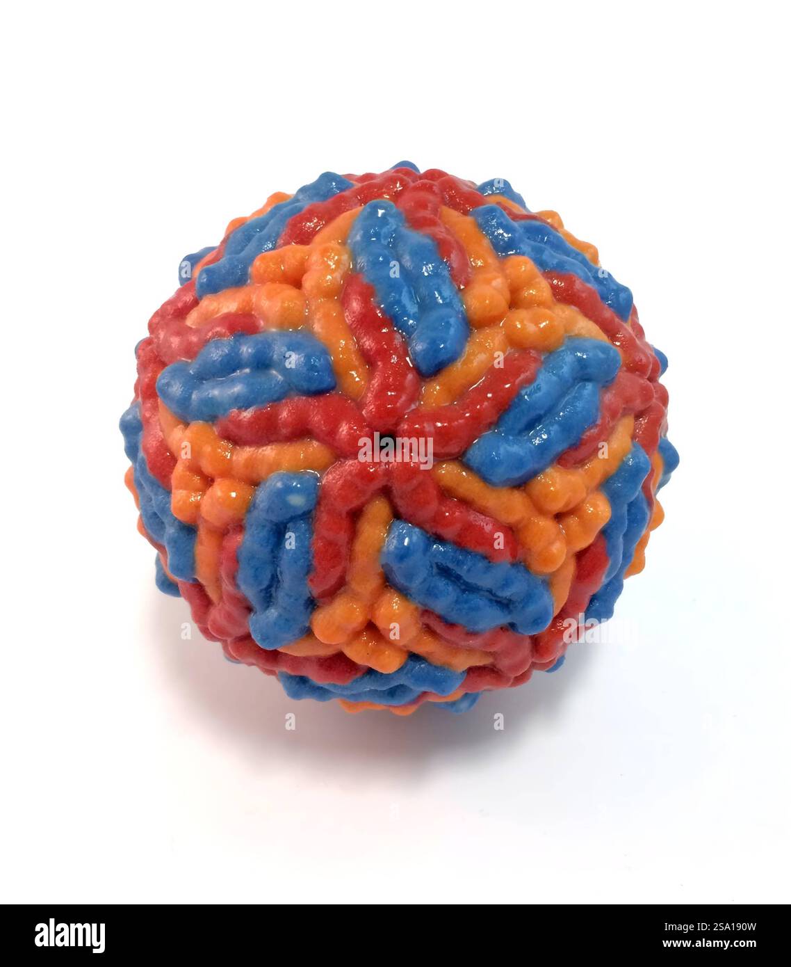 modello di virus zika. Virus Zika 016556_004 Foto Stock