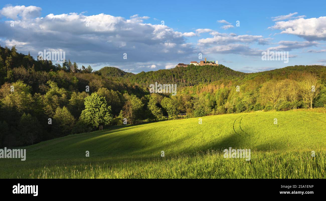 Vista del castello di Wartburg, luce serale, Eisenach, Turingia, Germania, Europa Foto Stock