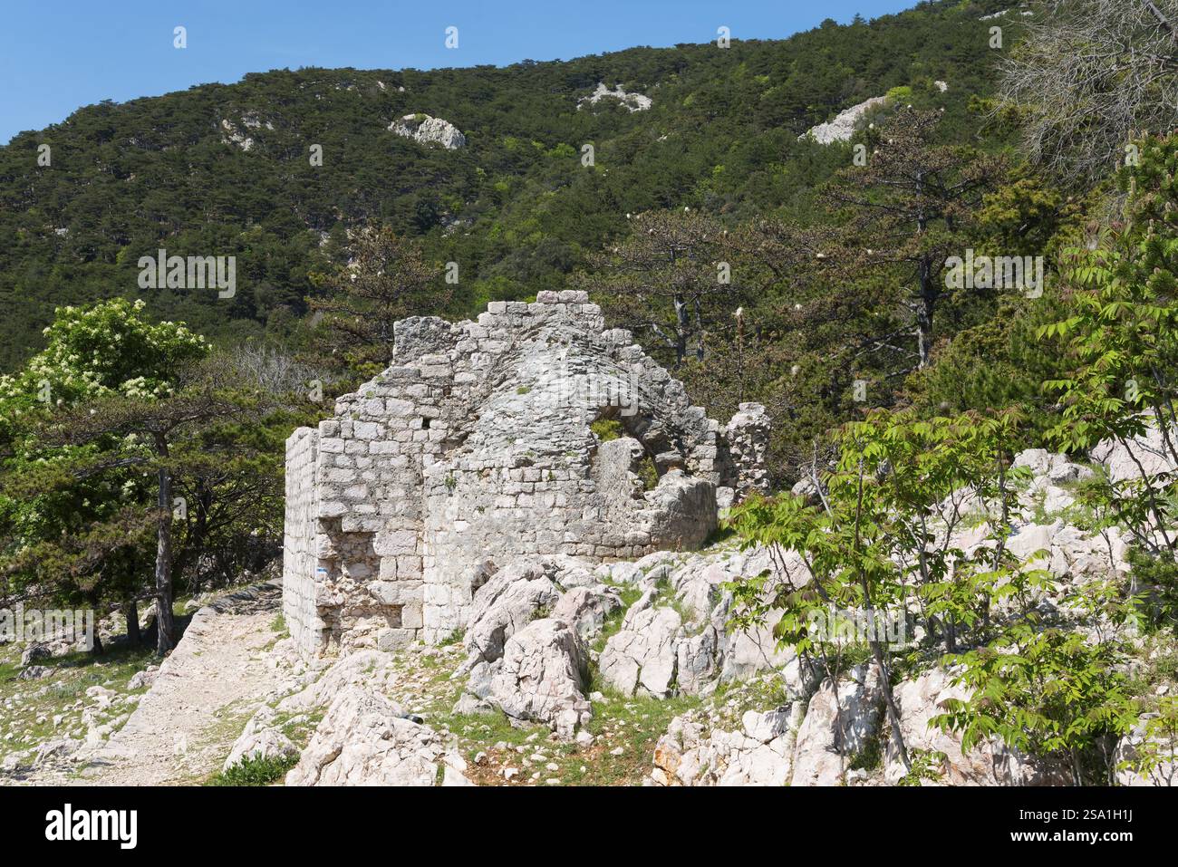 Rovine di pietra in una zona montana boscosa sotto un cielo azzurro e limpido circondato da alberi verdi, la Chiesa dello Spirito Santo, BaTka, Baska, l'isola di Krk, Quarnero Foto Stock