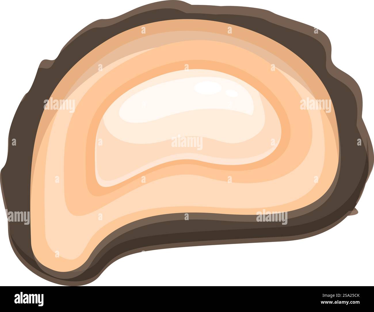 Vettore cartoni animati con icona di ostriche fresche. Cibo marino. Cucina del ristorante. Vettore cartoni animati con icona di ostriche fresche. Cibo marino Illustrazione Vettoriale