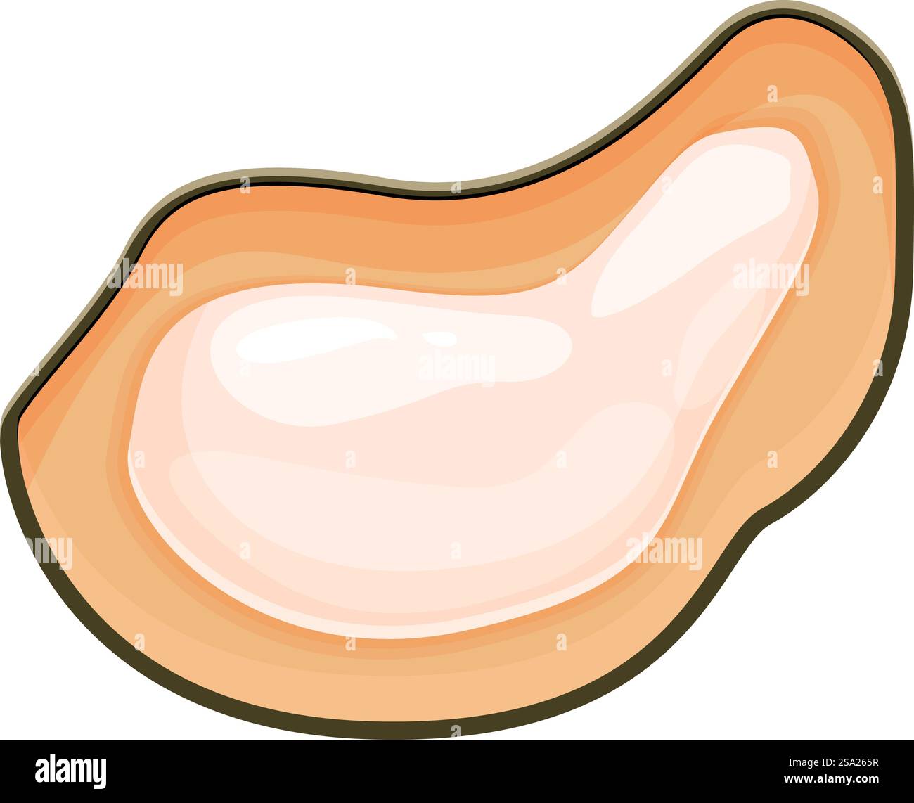 Vettore cartoni animati icona ostrica mezza parte. Prelibatezza del mercato. Ristorante di pesce. Vettore cartoni animati icona ostrica mezza parte. Prelibatezza del mercato Illustrazione Vettoriale