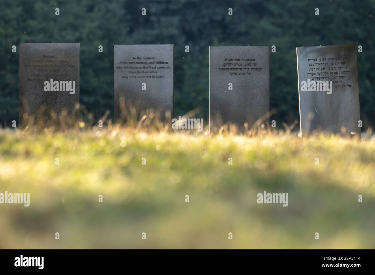 Oswiecim, Germania. 8 settembre 2023. 27.01.2025, Fotos der Gedenkstätte Auschwitz zum 80. Jahrestag der Befreiung des Konzentrationslagers, Gedenktafeln auf der Wiese neben Bunker II Weißes Haus im KL Auschwitz II Birkenau, foto: Dennis Ewert/RHR-FOTO/dpa/Alamy Live News Foto Stock