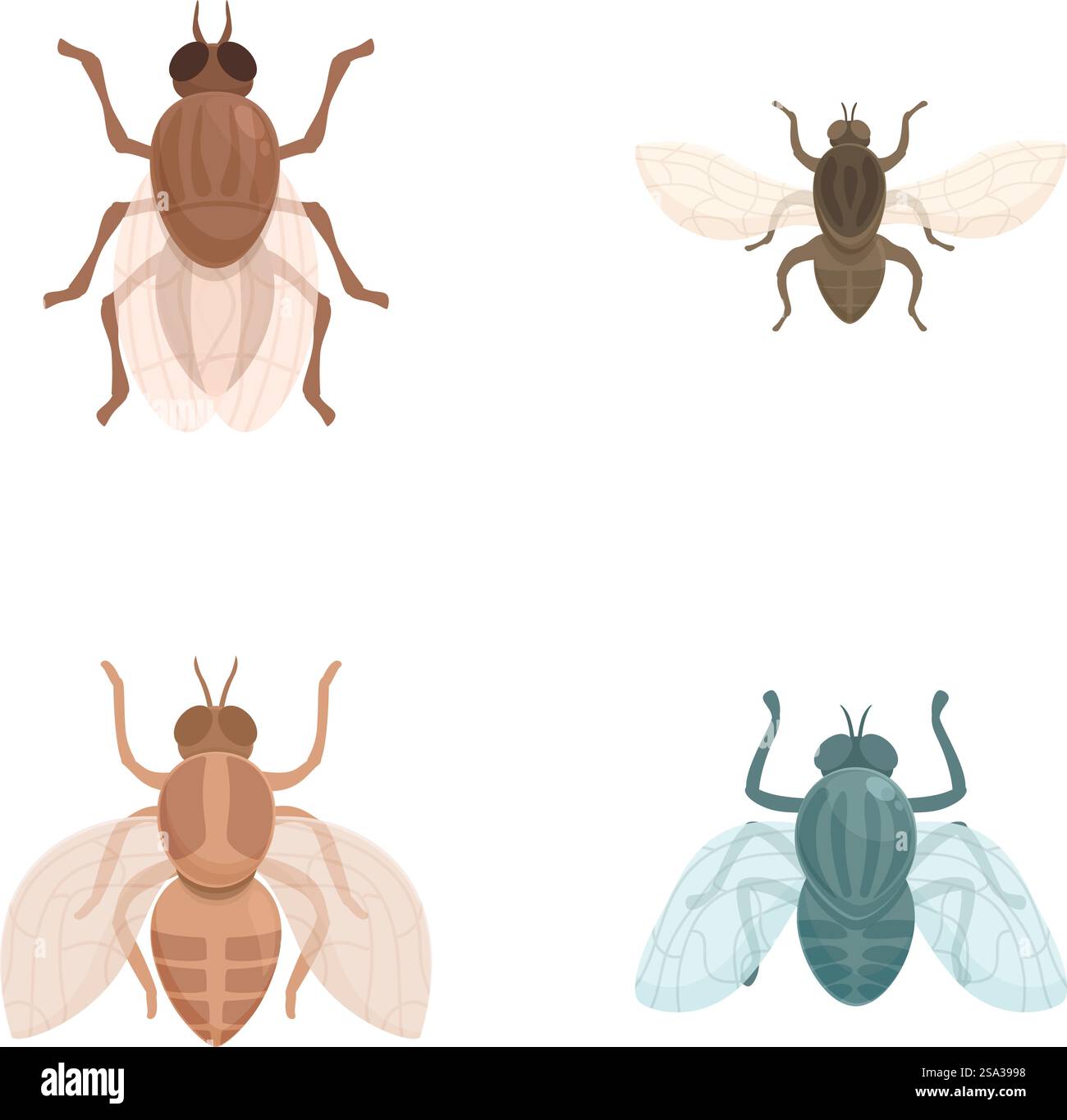 Collezione di quattro insetti volanti cartoni animati stilizzati su sfondo bianco, adatti per la grafica didattica. Set di illustrazioni di insetti volanti Illustrazione Vettoriale