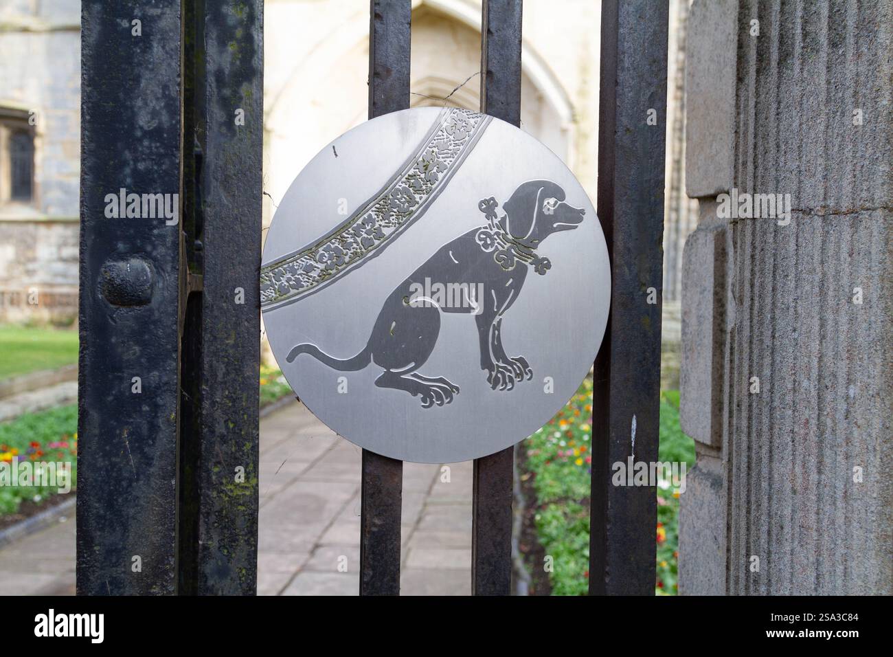 Placca in acciaio spazzolato raffigurante un cane. Questo fa parte del Kings Lynn Pilgrimage Trail, una passeggiata didattica autonoma basata sulla storia di Lynn Foto Stock