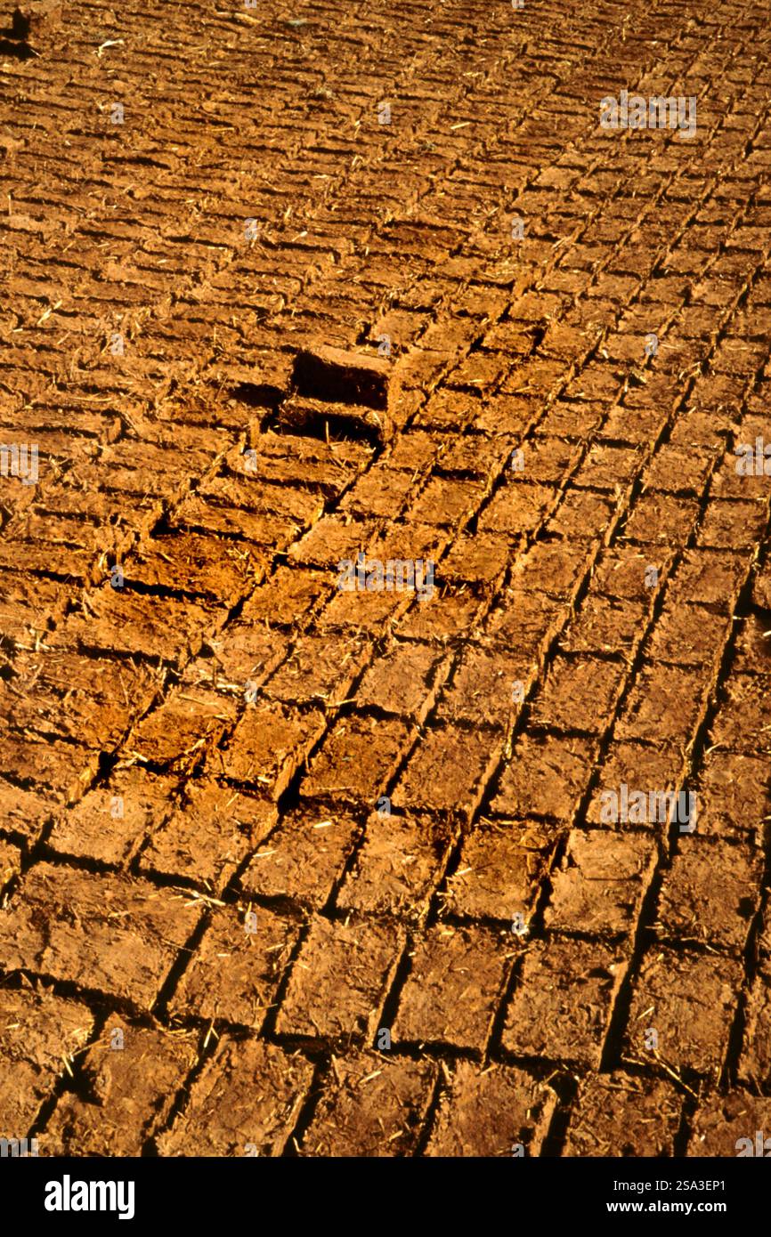 Erfoud. Fabbrica di mattoni Foto Stock