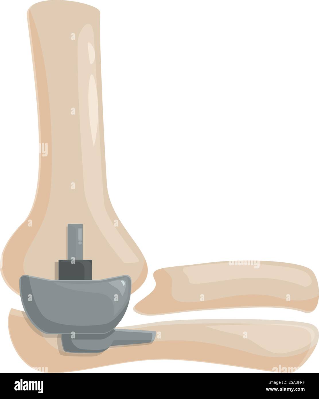 Illustrazione di un mortaio, un pestello e un olio essenziale in una fiasca, che rappresenta l'estrazione naturale. Mortaio e pestello con olio essenziale estratto Illustrazione Vettoriale