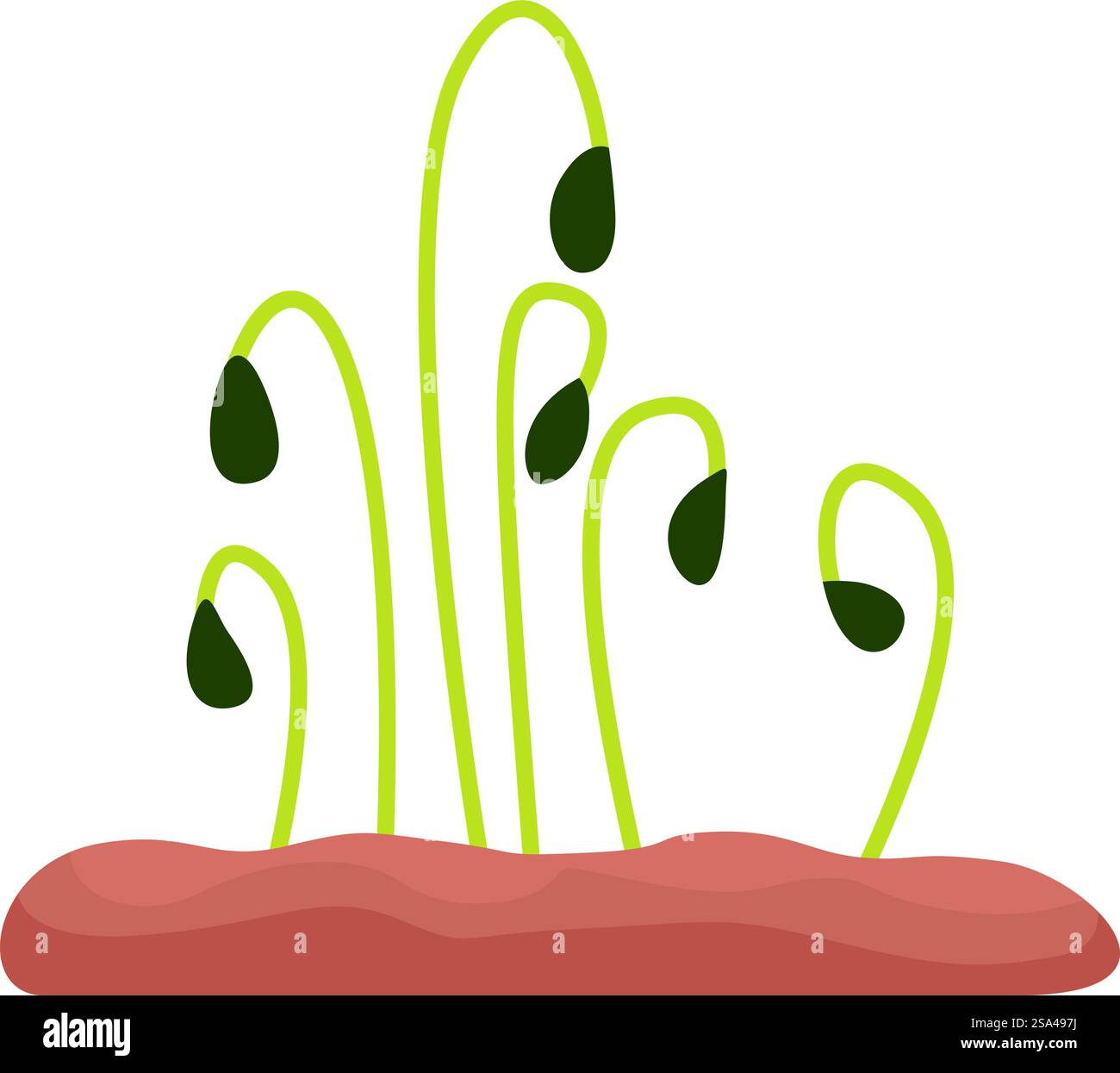 I germogli verdi stanno crescendo da terra. Giovani piantine che crescono dal suolo Illustrazione Vettoriale