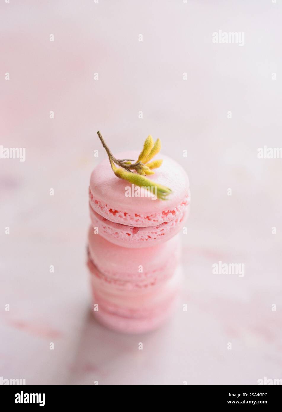 I morbidi macaron rosa sono impilati con cura, ciascuno decorato con un delicato rametto verde appoggiato sulla parte superiore. Lo sfondo sfocato crea un ambiente tranquillo e invitante Foto Stock