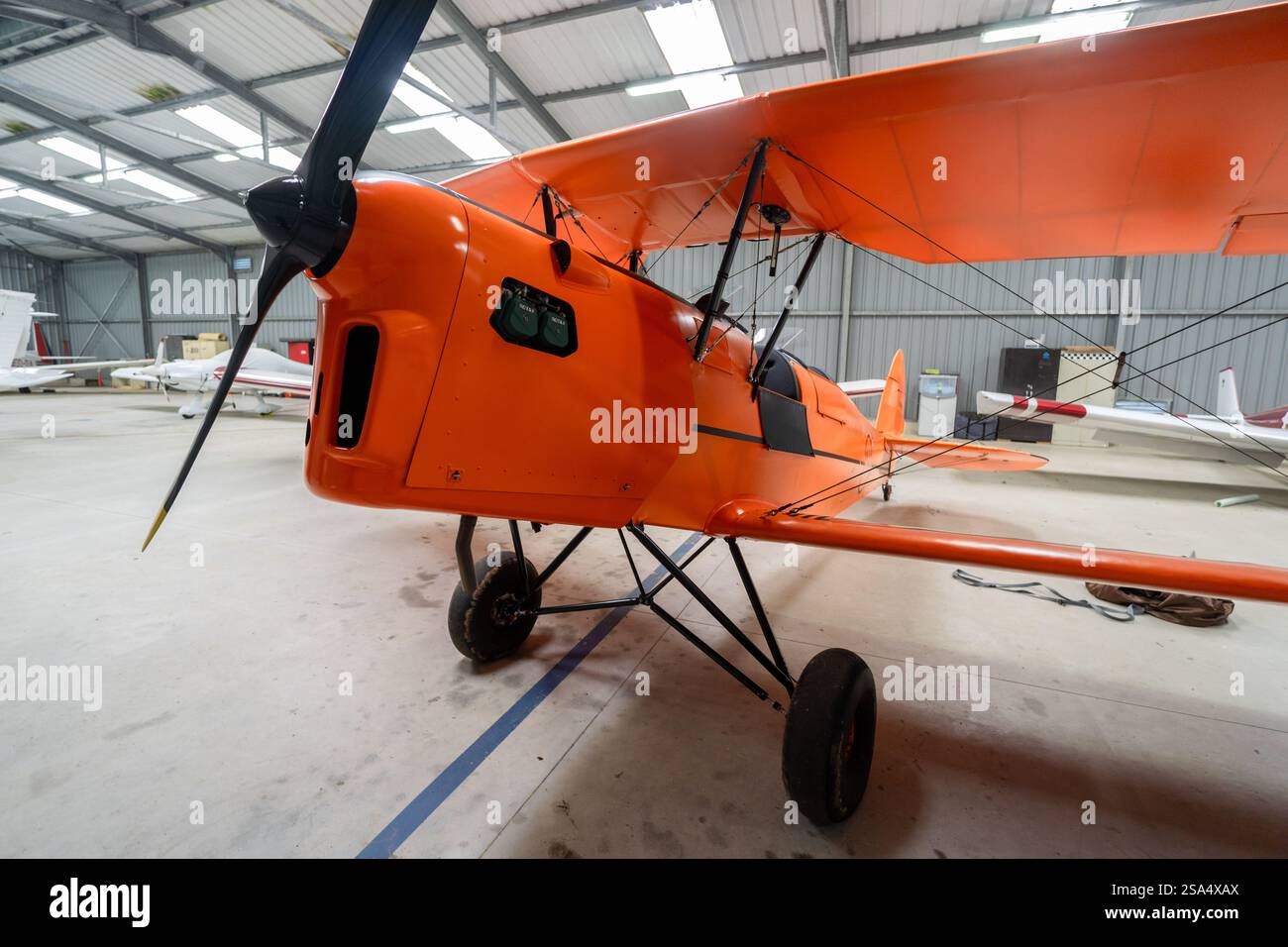 Concetti ultraleggeri - Stampe SV-RS Aircraft Foto Stock