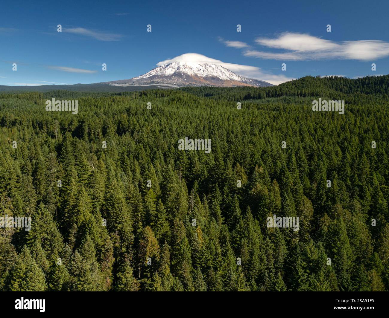 Vista aerea della cima Cascade del Monte Adams nella Gifford Pinchot National Forest dello stato di Washington Foto Stock