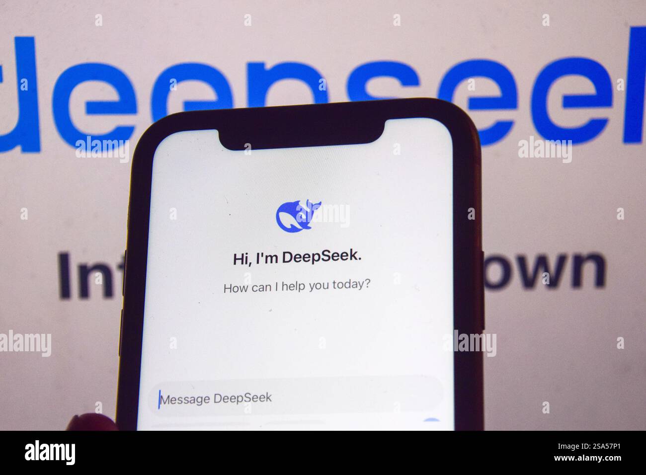 Londra, Regno Unito. 28 gennaio 2025. Le principali aziende tecnologiche statunitensi hanno visto diminuire le loro quote mentre gli sviluppatori cinesi lanciano il chatbot DeepSeek ai a basso costo. L'app ha superato i suoi rivali statunitensi. Credito: Vuk Valcic/Alamy Foto Stock