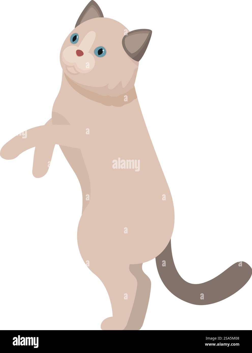 Gatto beige con occhi blu in piedi sulle zampe posteriori e alzando le zampe. Simpatico gatto beige in piedi sulle zampe posteriori che sollevano le zampe Illustrazione Vettoriale
