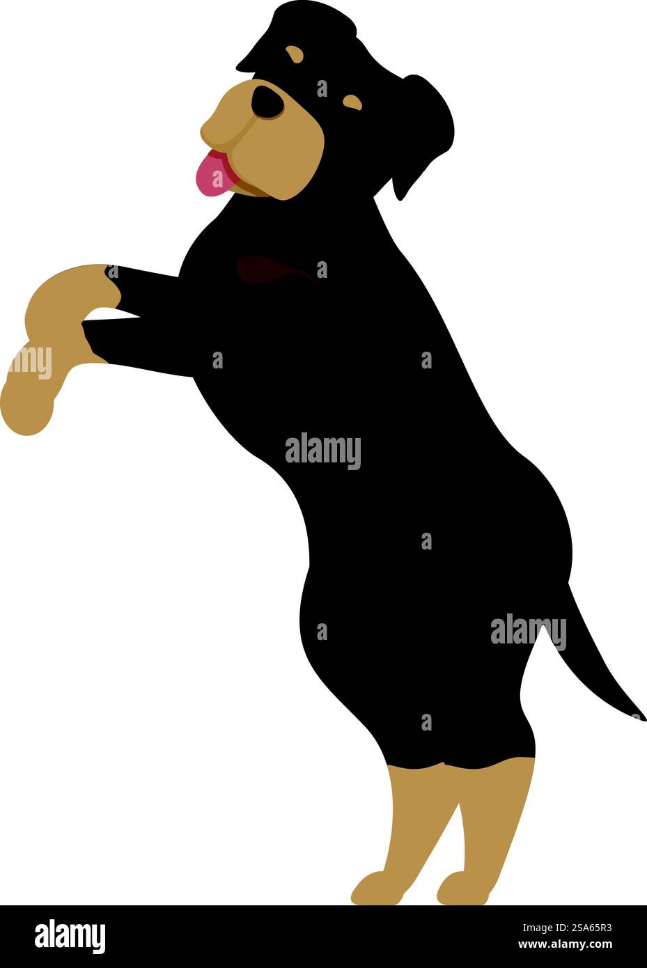Simpatico rottweiler in piedi sulle gambe posteriori, posa giocosa con la lingua fuori. Giocoso rottweiler in piedi sulle gambe posteriori Illustrazione Vettoriale
