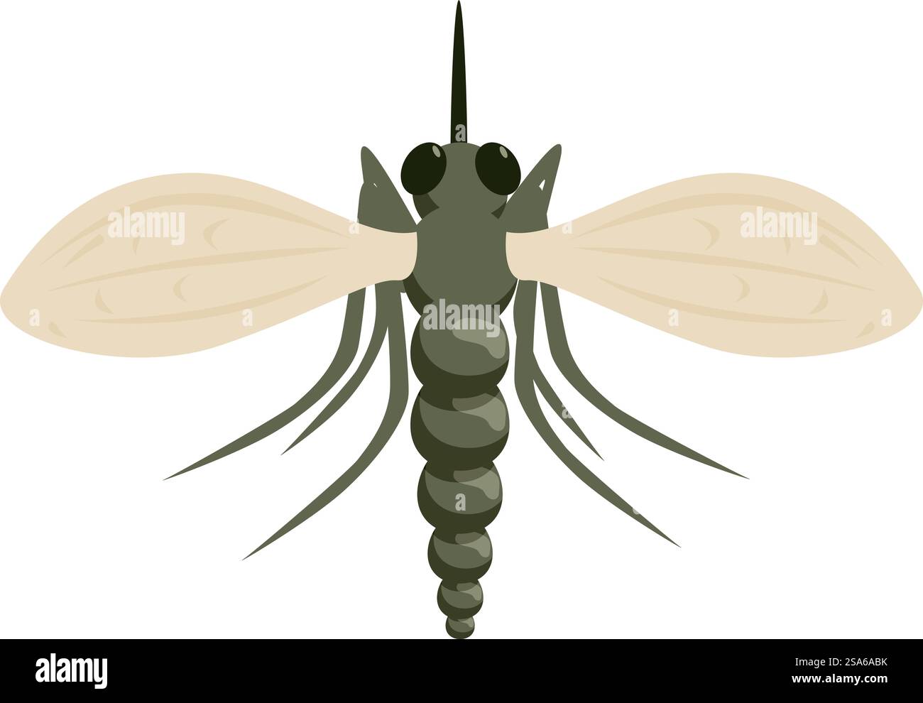 Zanzara che diffonde la malattia della malaria mostrando ali e probosci Illustrazione Vettoriale