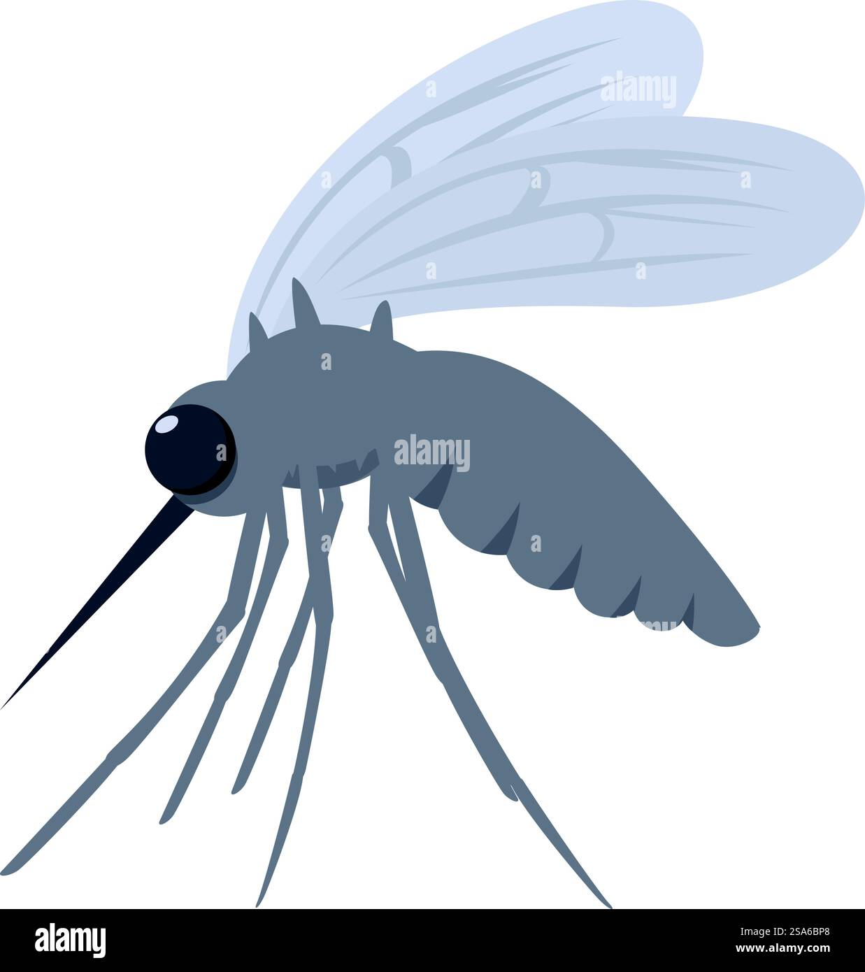 La zanzara grigia sta diffondendo la malattia della malaria. Zanzara grigia che diffonde la malaria Illustrazione Vettoriale