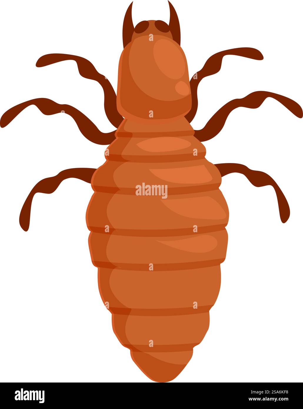 Insetto Booklouse con corpo segmentato e sei gambe che strisciano in alto, isolato su sfondo bianco. Insetti Booklouse che strisciano nella vista dall'alto Illustrazione Vettoriale