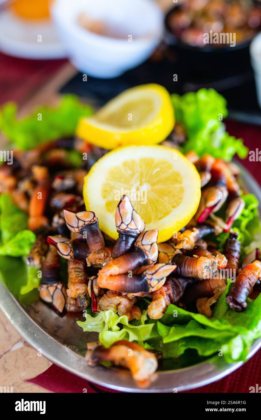 Barnacoli freschi al collo d'oca, noti anche come portoghese Percebes, serviti con limone e vino bianco per il pranzo al ristorante. Foto Stock