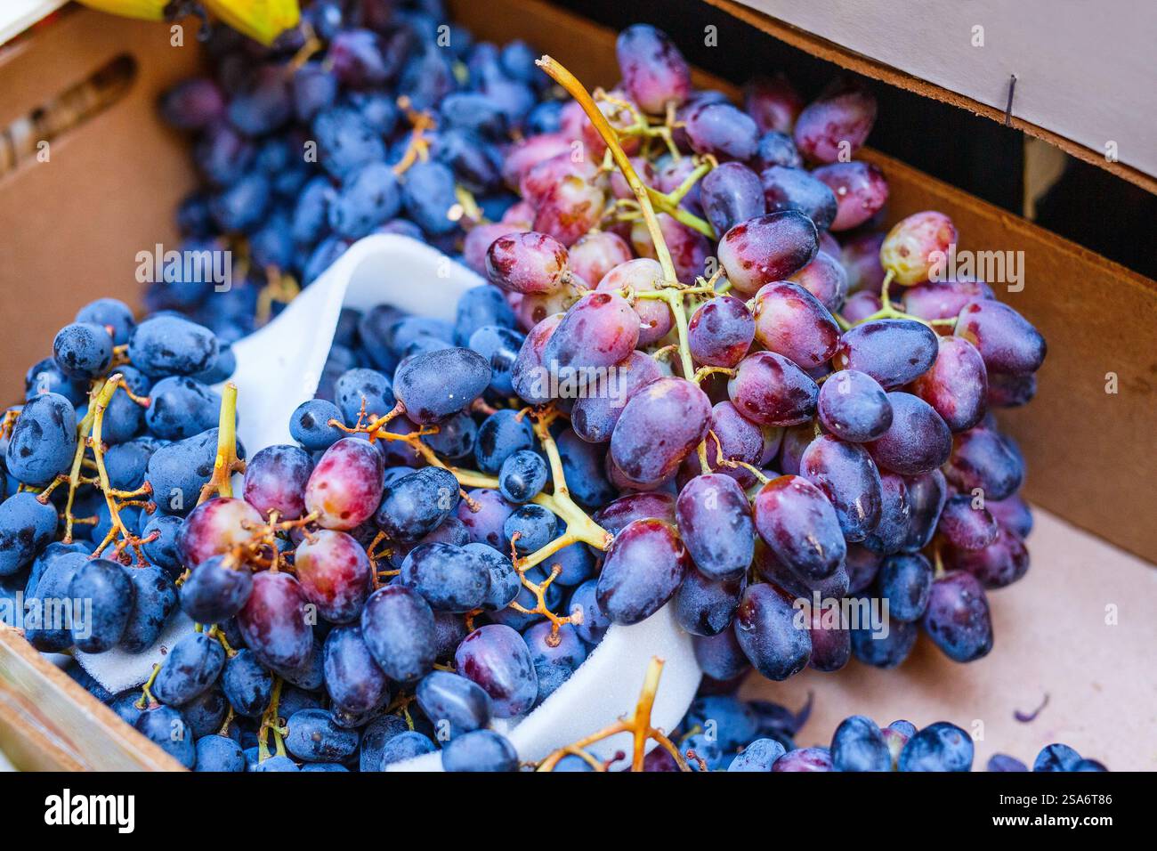 Primo piano di uve rosse al mercato italiano Foto Stock