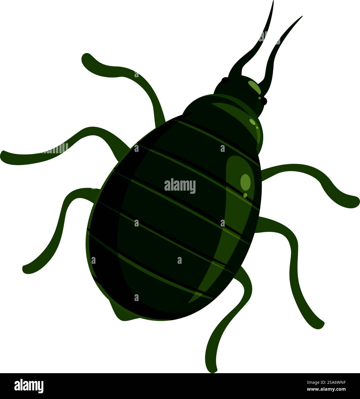 L'insetto di coleottero verde strizza con le sue lunghe gambe. Insetto di coleottero verde che strizza con le gambe lunghe Illustrazione Vettoriale