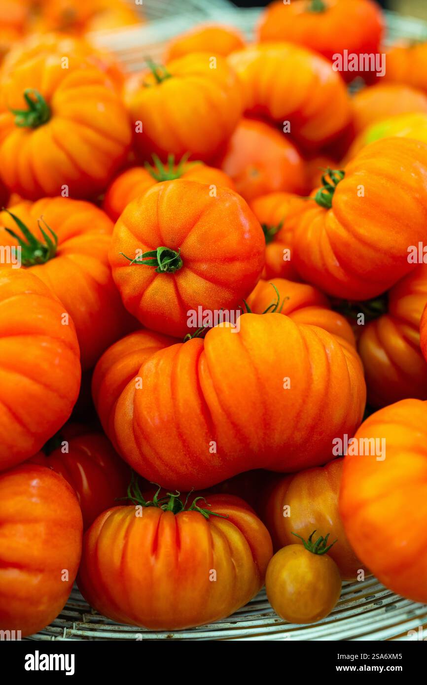 Pomodori freschi con cimelle d'arancia dalle caratteristiche superfici rigate e steli verdi, che mostrano la loro naturale maturazione e la loro forma unica. Foto Stock