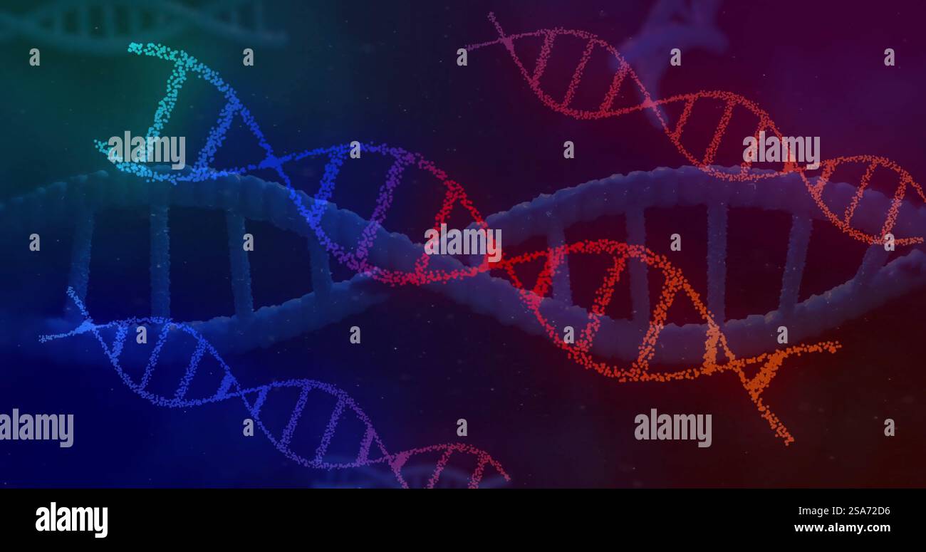 Immagine di filamenti di dna su sfondo nero Foto Stock