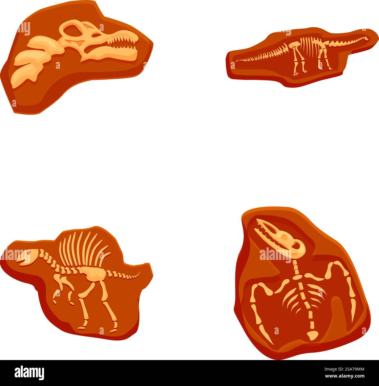 Collezione di illustrazioni fossili di dinosauri preistorici e opere d'arte cartoni animati per materiali educativi, mostre nei musei e per bambini; risorse per l'apprendimento. Collezione di quattro illustrazioni in stile cartoni animati che mostrano vari fossili di dinosauri Illustrazione Vettoriale