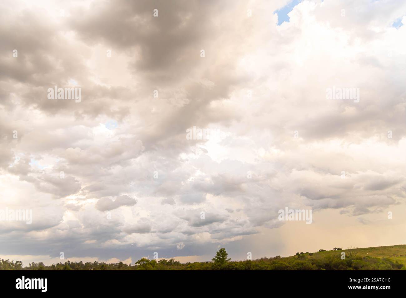 Nuvole di pioggia sul paesaggio del bioma di pampa nel sud del Brasile, Foto Stock