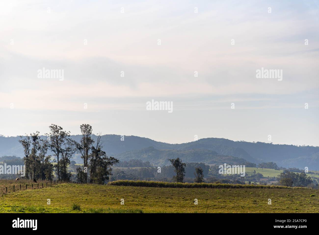 Paesaggio rurale nelle pampas del Rio grande do sul. Foto Stock
