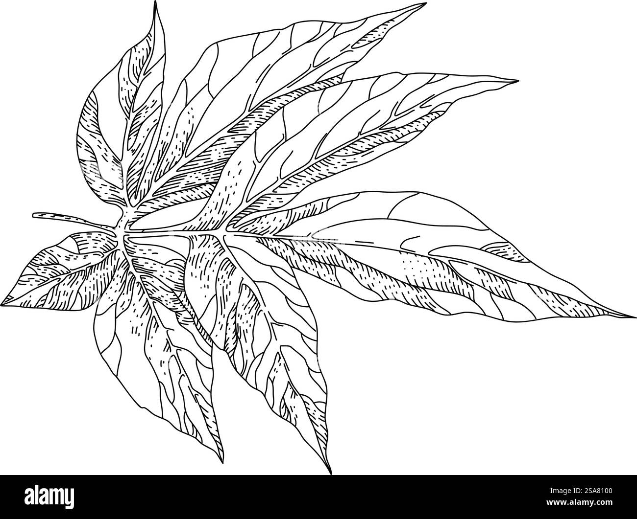 Piante d'appartamento, vegetazione di alberi o cespugli, foglie isolate. Foglie e decorazioni naturali, vegetazione e motivi botanici. Design floristico o ornamento. Contorno dello schizzo monocromatico. Vettore negli stili piatti. Fogliame e foglie di piante e alberi, piante di casa Illustrazione Vettoriale