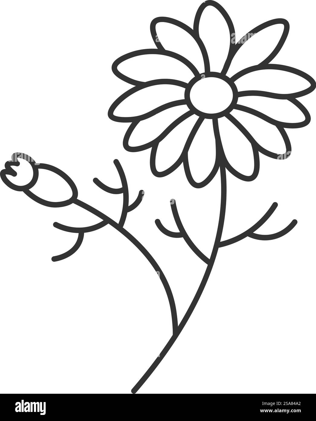 Pianta con gambo e foglie, fiorente e bocciolata. Disegno di piante d'appartamento, giardinaggio e agricoltura, coltivazione di prodotti naturali e biologici per la cucina. Icona del contorno monocromatico isolata. Vettore in stile piatto. Fiore con fiore, disegno di pianta in giardino Illustrazione Vettoriale