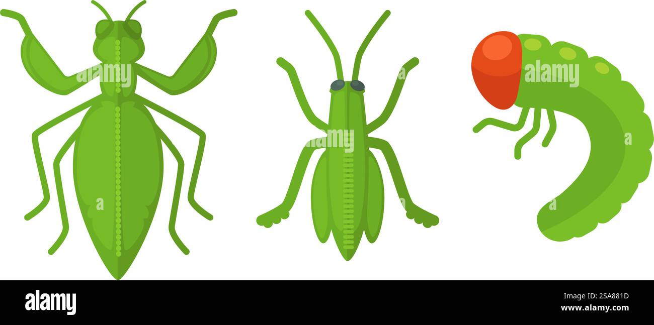 Una collezione di vari insetti colorati in stile vettoriale piatto, vibranti e isolati sul bianco. Vettoriale del set di raccolta di vari insetti Illustrazione Vettoriale