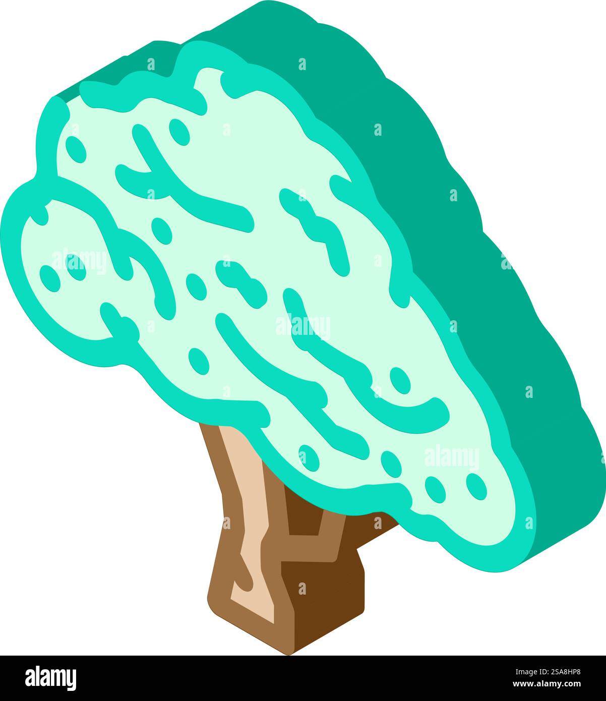 macadamia albero giungla amazon isometrica vettore icona. macadamia albero giungla insegna amazzonica. illustrazione del simbolo isolato. illustrazione vettoriale dell'icona isometrica amazon della giungla degli alberi di macadamia Illustrazione Vettoriale