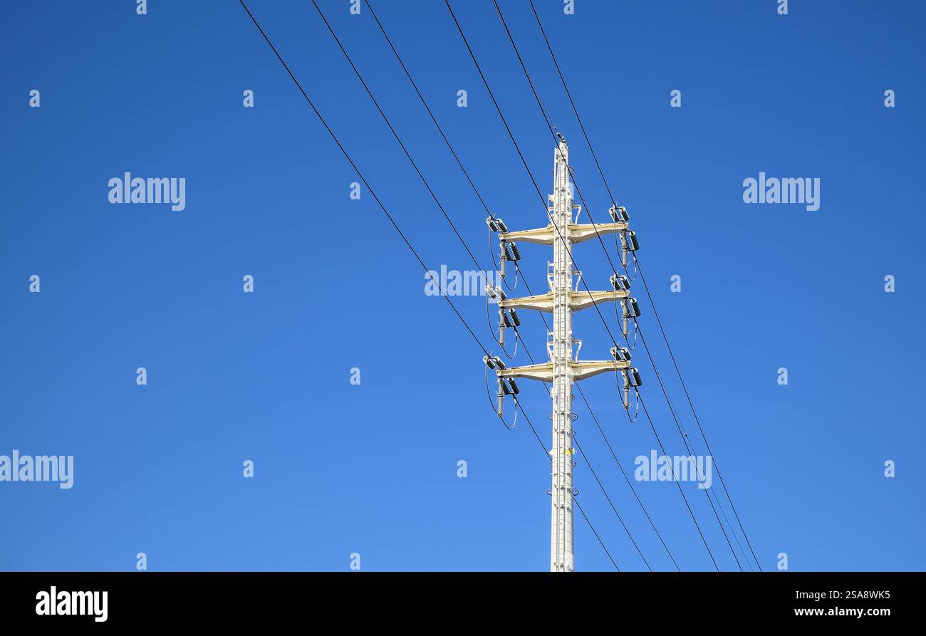 Vista diurna di un'asta di alimentazione isolata con cavi che si estendono lontano da essa, verniciati di bianco e in piedi sotto un cielo blu senza nuvole Foto Stock