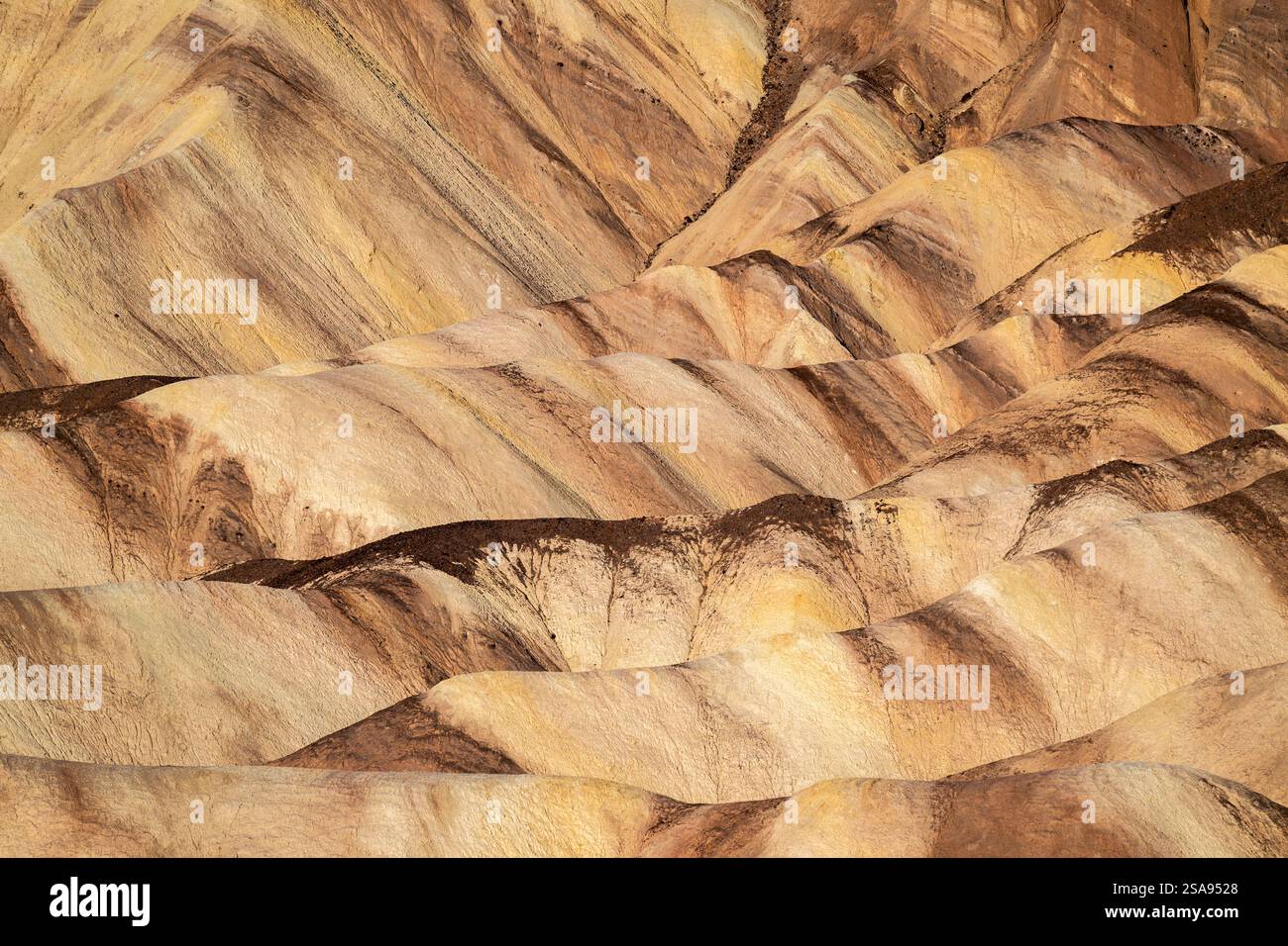 Zabriskie Point, Parco Nazionale della Valle della Morte, CALIFORNIA, STATI UNITI D'AMERICA Foto Stock
