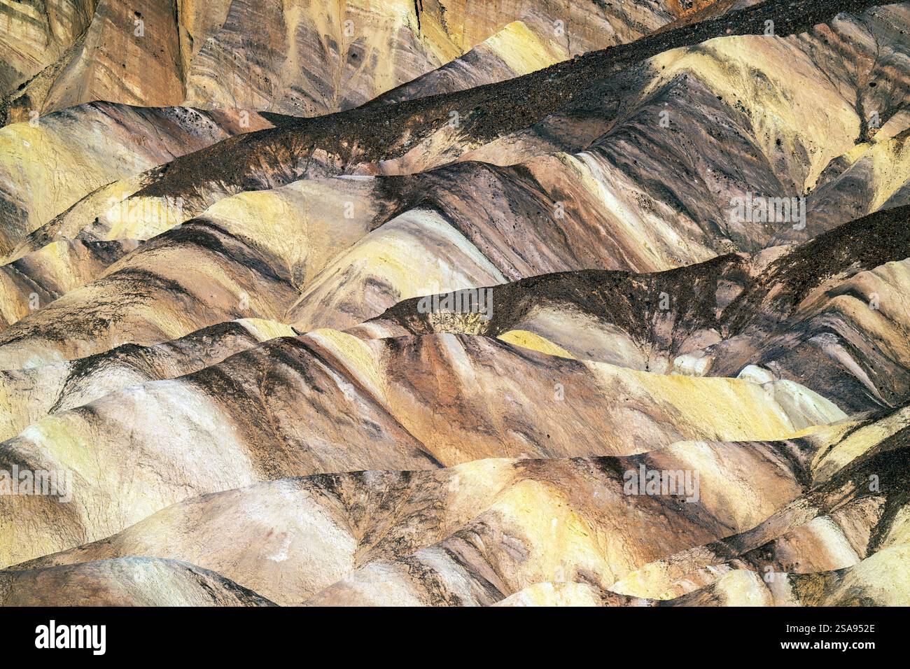 Zabriskie Point, Parco Nazionale della Valle della Morte, CALIFORNIA, STATI UNITI D'AMERICA Foto Stock