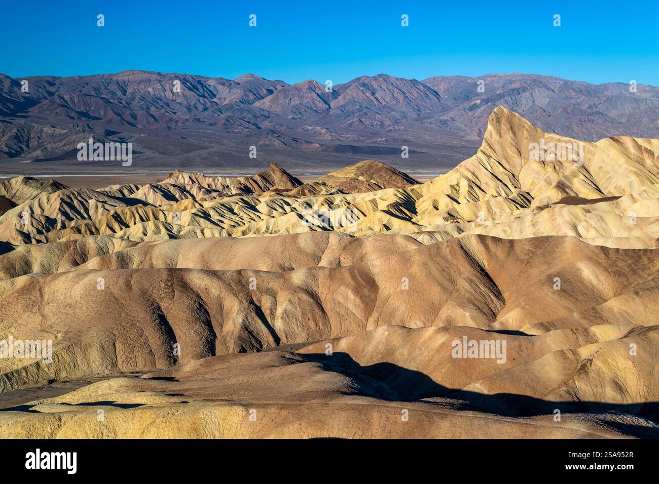 Zabriskie Point, Parco Nazionale della Valle della Morte, CALIFORNIA, STATI UNITI D'AMERICA Foto Stock