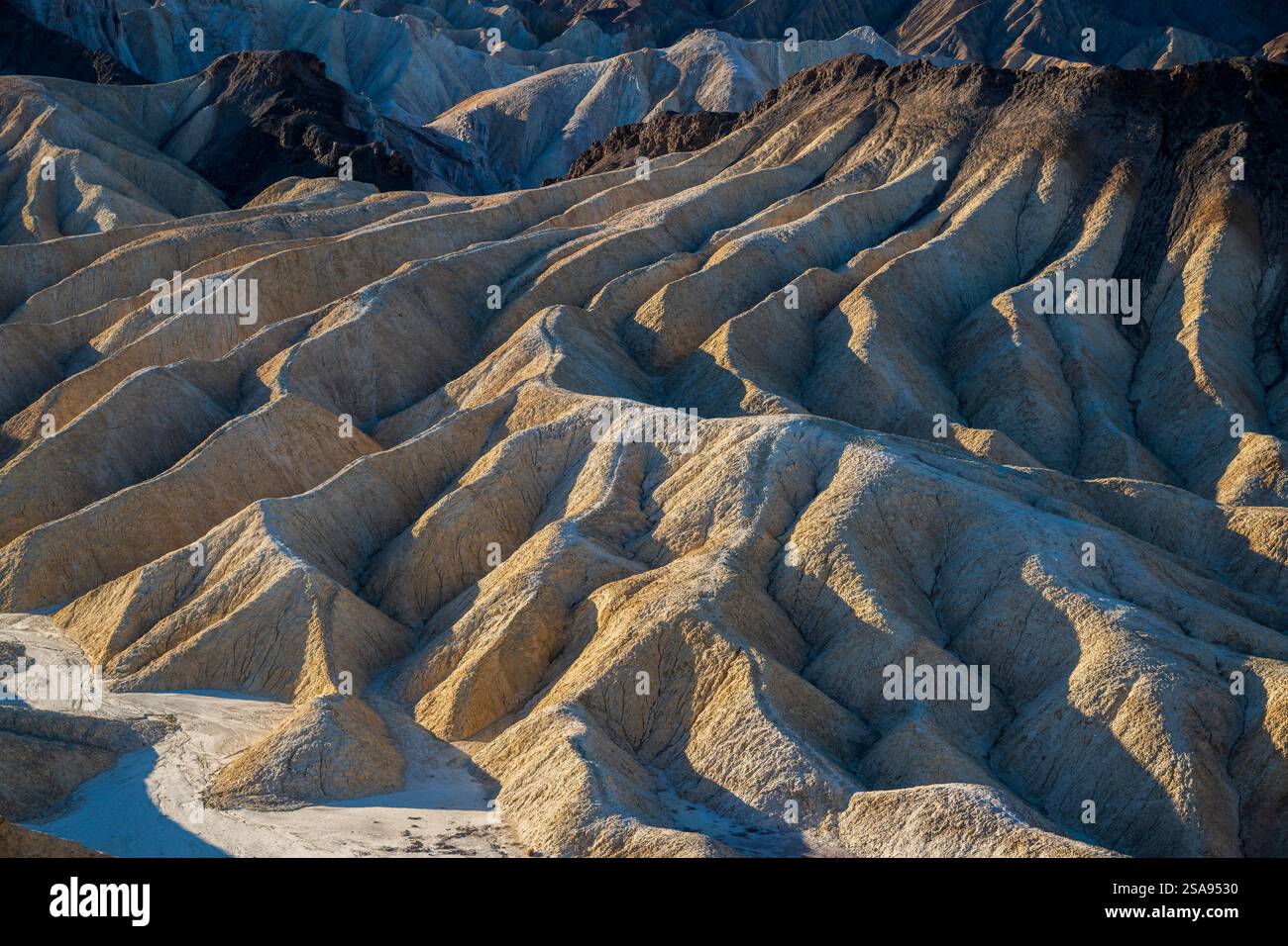 Zabriskie Point, Parco Nazionale della Valle della Morte, CALIFORNIA, STATI UNITI D'AMERICA Foto Stock