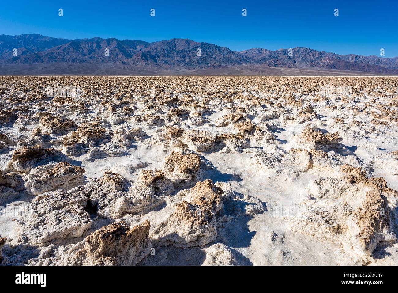 Campo da golf devil's, salina, Death Valley National Park, California, Stati Uniti Foto Stock