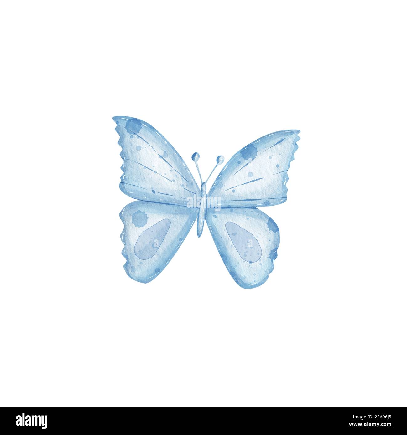 Farfalla. Disegnato in acquerelli in colori pastello. Illustrazione disegnata a mano. Può essere utilizzato per biglietti d'auguri, striscioni, sfondi, biglietti d'auguri. Foto Stock