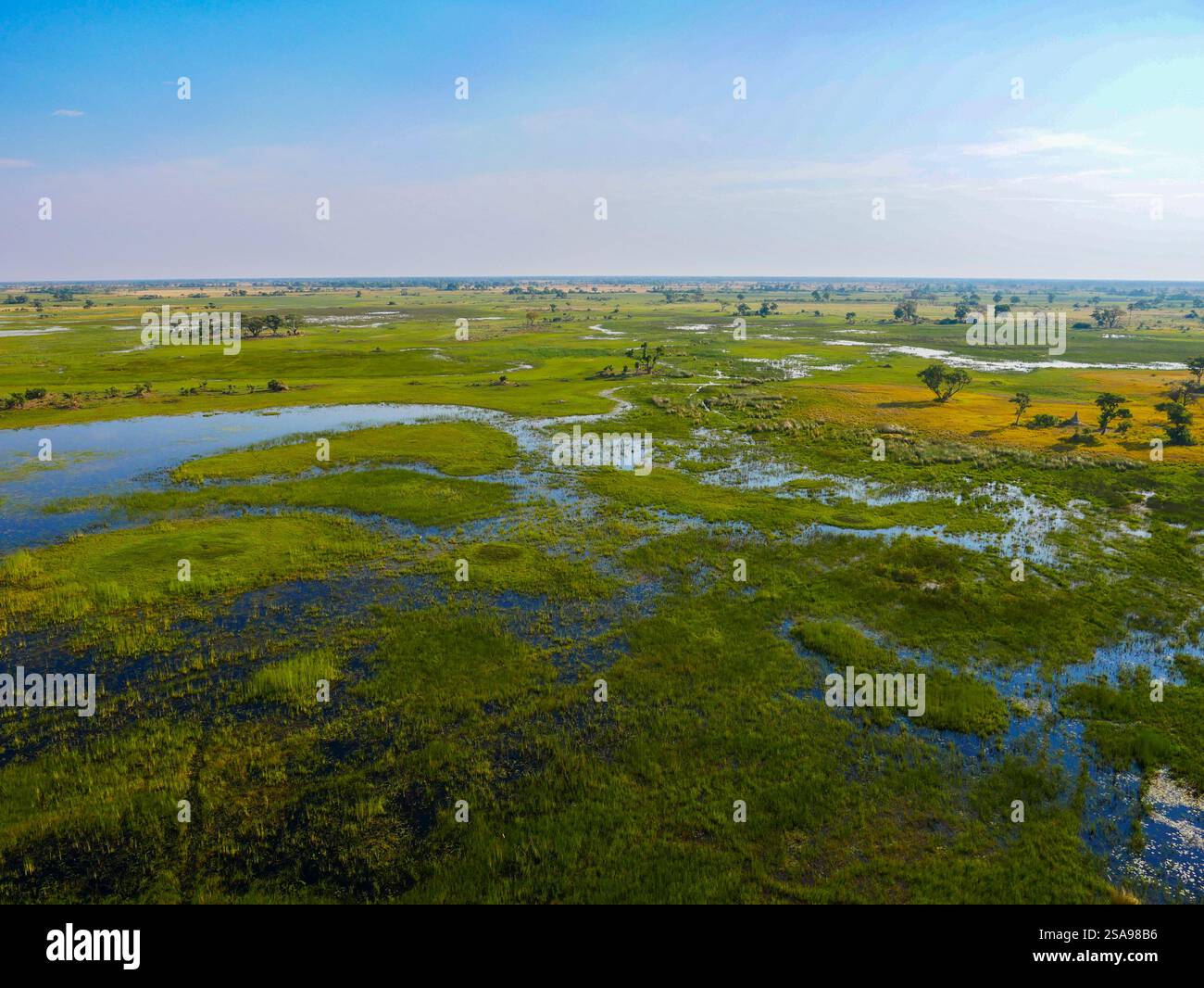 Paesaggio in Botswana. Volo da Maun al Delta dell'Okavango in elicottero. Foto Stock