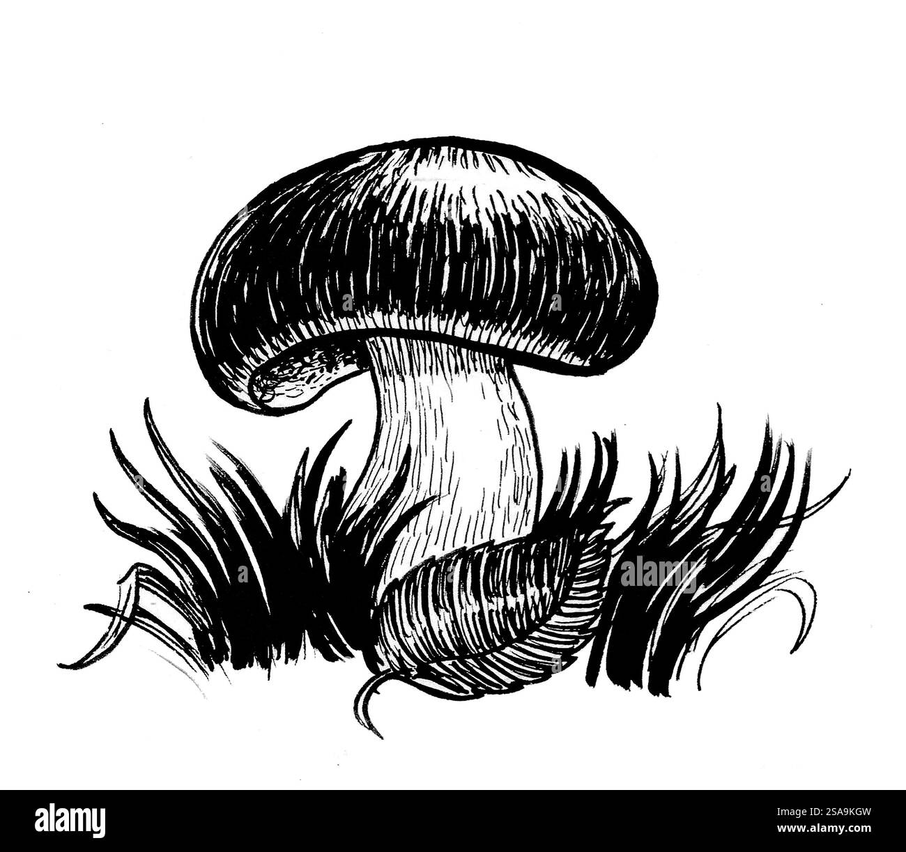 Funghi e foglie. Illustrazione in bianco e nero disegnata a mano in stile retrò Foto Stock