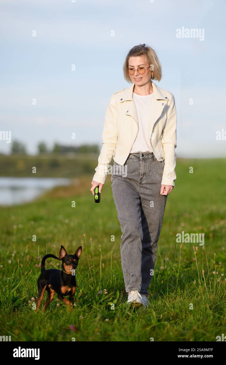 Un camminatore professionista che indossa gli occhiali cammina con i capelli lisci sulla Terrier del giocattolo russo al guinzaglio in un parco lungo l'erba nelle soleggiate giornate estive. Concetto di business Foto Stock